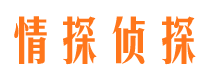 丰都侦探